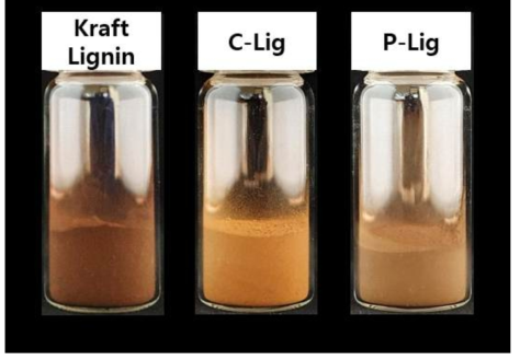 리그닌 파우더의 시각적 이미지