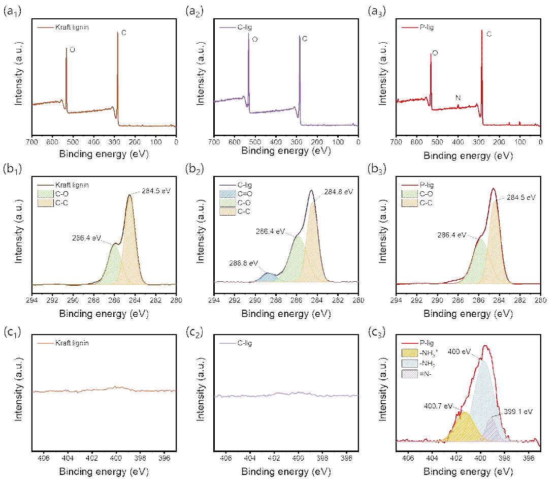 크라프트 리그닌, 카르복실화 리그닌 및 PEI-개질 리그닌의 XPS 스펙트럼 (a) Full scan, (b) C 1s 및 (c) N 1s 분석 결과