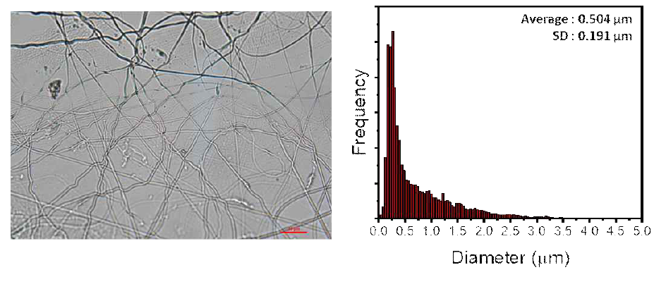 PEO 나노섬유의 실체 현미경 이미지 (100x)와 직경 분포도