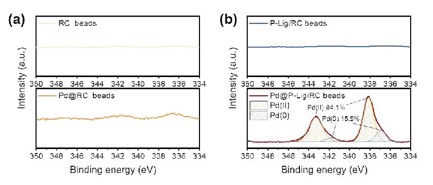 Pd 2d 고해상도 스펙트럼 결과 (a) RC 비드와 Pd@RC 비드, (b) P-Lig/RC 비드와 Pd@P-Lig/RC 비드
