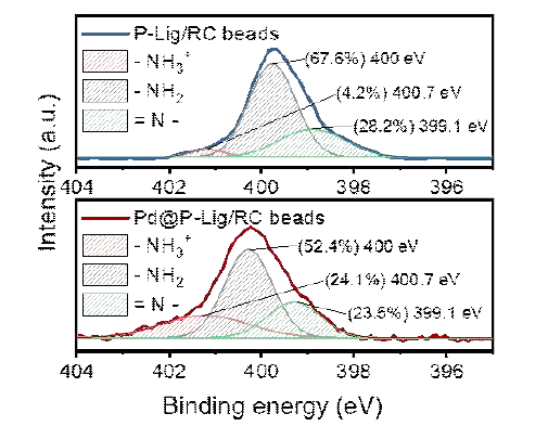 P-Lig/RC 비드와 Pd@P-Lig/RC 비드의 N 1s 고해상도 스펙트럼 결과