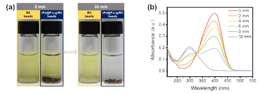 (a) NaBH4가 포함된 4-NP에 RC비드와 rPd@P-Lig/RC 비드를 첨가한 후의 모습, (b) NaBH4가 포함된 4-NP에 rPd@P-Lig/RC 비드를 첨가한 후의 시간에 따른 UV-vis 흡광 스펙트럼 변화
