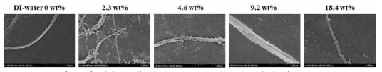반응 용매 내의 DI-water 함량 (wt%)에 따른 SEM