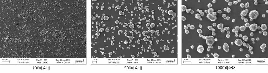 TOCN의 주사전자현미경 사진