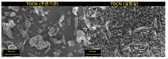 건조 조건에 따른 TOCN 분말의 모습
