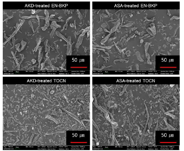 셀룰로오스 원소재와 유기에멀션 종류에 따른 분말의 SEM 사진