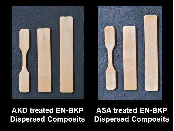 AKD와 ASA로 각각 처리된 EN-BKP를 첨가한 복합재 (주관기관 협력 연구)
