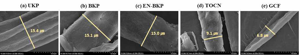 실험에 사용한 5종 셀룰로오스 FE-SEM image