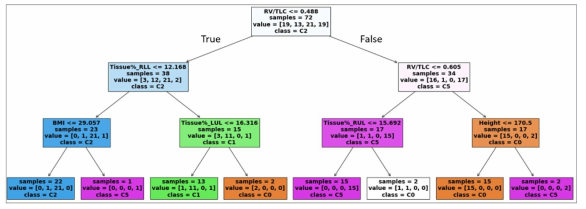 흡기 CT영상과 흡기-호기 폐 부피 및 피검자 기본 신체 정보를 활용하여, 해당 딥러닝 가습기살균제 노출 영향 군집으로 분류하는 decision tree