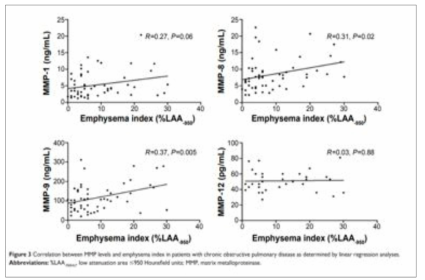 혈장 matrix metalloproteinase, 폐 기능, 기관지 확장 반응 및 폐기종 중증도와의 관련성