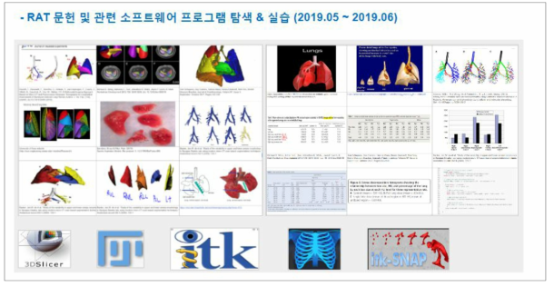 Rat 모델 CT 영상 분석을 위한 방법론들