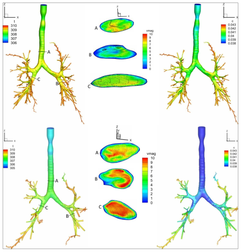 비노출군(위)과 노출군(아래) 정상인의 온도(t) 및 water vapor concentration (c)에 대한 CFD 결과