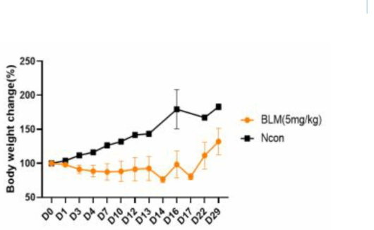 Bleomycin 투여 폐섬유화 동물모델에서 체중변화