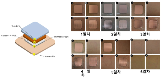 판의 유연성에 따른 피부 부착력 테스트