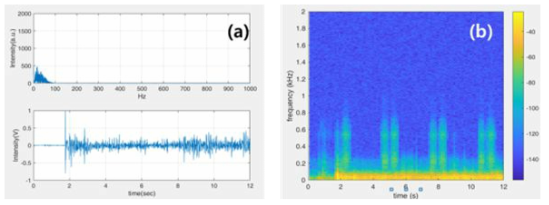 Lung Sim. 및 리트만 전자청진기를 이용한 정상호흡 측정 결과: (a) FFT, time domain, (b) Spectrogram