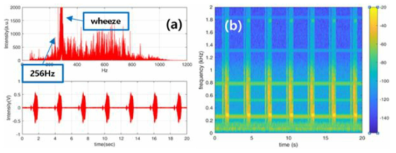 LSP V5.0 W/O Cover 천식 + 256Hz 외부 소음 측정 결과: (a) FFT, time domain, (b) Spectrogram