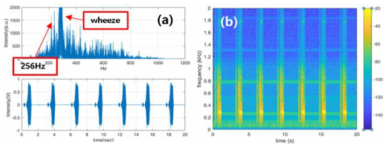 LSP V5.0 W/ Cover 천식 + 256Hz 외부 소음 측정 결과: (a) FFT, time domain, (b) Spectrogram
