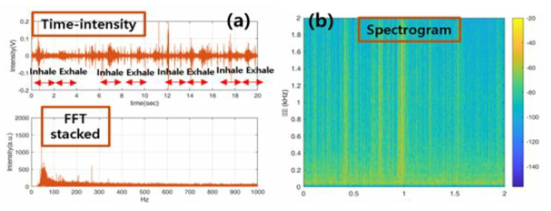 W/ Clothes, silent ambient 생체음향 측정 결과; (a) Time domain, FFT, (b) spectrogram