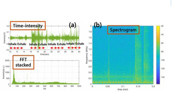 W/O Clothes, noisy ambient 생체음향 측정 결과: (a) Time domain, FFT, (b) spectrogram