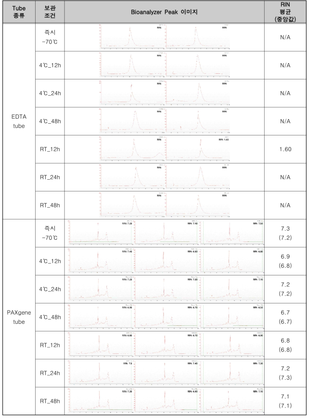 6개월 장기보관 후 RNA 추출 정성 결과