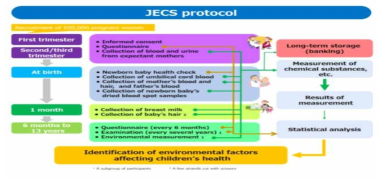 어린이 환경보건 코호트(JECS) 연구방법 (JECS 홈페이지, https://www.env.go.jp/chemi/ceh/en/index.html)