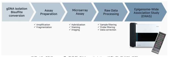 EPIC arrary를 활용한 DNA methylation 실험 및 전처리 과정