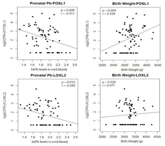 아기그룹의 유의 수준의 유전자와 납 노출 및 출생체중의 상관관계