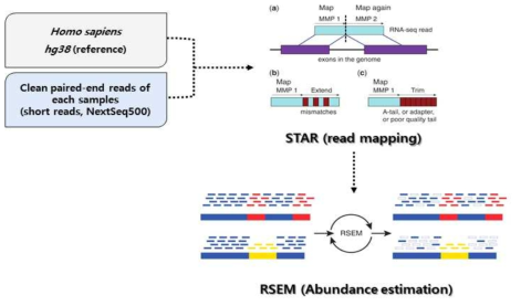 RNA-Seq 데이터 발현 수치 측정 workflow