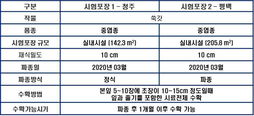 시험포장 및 쑥갓 재배정보