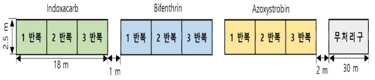 치커리 시험포장 1 (안성시) 배치