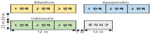 치커리 시험포장 2 (이천시) 배치