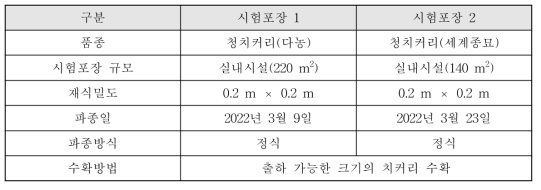 시험포장 및 치커리 재배정보