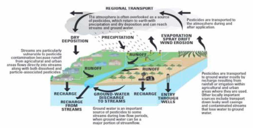 Pesticides are transported to streams and ground water primarily by runoff and recharge. (Majewski and Capel, 2019，Konstantinou.，et al” 2006)