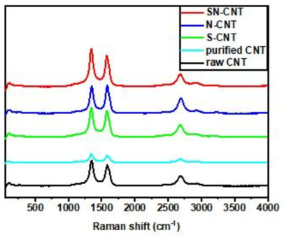 Raman spectra of the raw CNT, purified CNT, S-CNT, N-CNT, and SN-CNT
