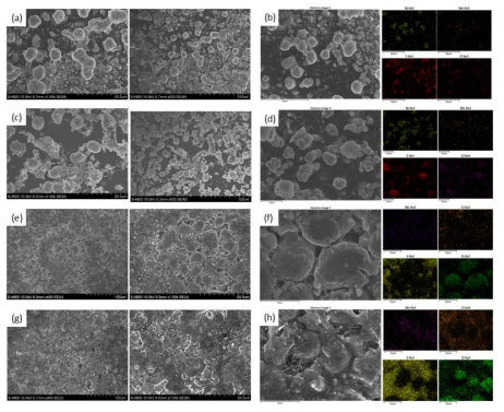 [(a) 대조군 양극 복합체의 SEM 이미지와 (b) EDS 맵핑 이미지. (c) 실험군 양극 복합체의 SEM 이미지와 (d) EDS 맵핑 이미지. (e) 대조군의 양극 복합체전극 펠렛 SEM 이미지와 (f) EDS 맵핑 이미지. (g) 실험군의 양극 복합체전극 펠렛 SEM 이미지와 (h) EDS 맵핑 이미지