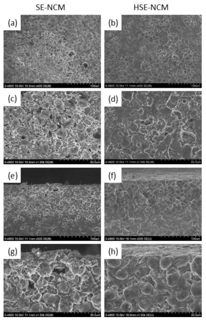(a-d) 대조군 및 실험군 셀의 저배율 및 고배율에서의 500 사이클 이후 SEM 표면 이미지. (e-h) 대조군 및 실험군 셀의 저배율 및 고배율에서의 500 사이클 이후 SEM 단면 이미지