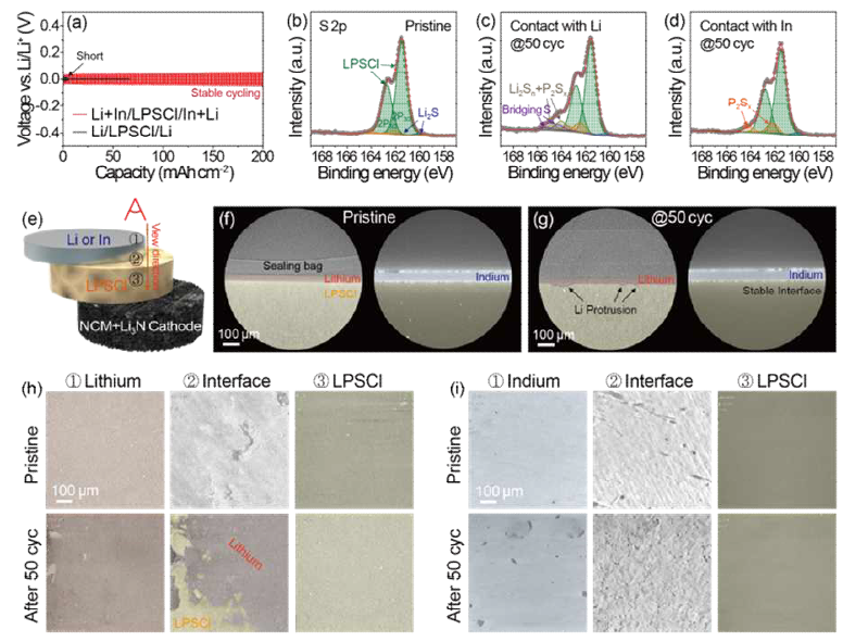 (a) 1mAh cm-2의 용량을 갖는 0.5mA cm-2에서 Li+In 및 Li 금속을 포함하는 대칭 셀의 전압 프로파일. (b) Pristine 상태 LPSCl, (c) Li와 접촉된 LPSCl, 및 (d) 50 사이클 후 In과 접촉한 LPSCl의 S 2p XPS 스펙트럼. (e) XRM 분석 중 방향 및 분석 지점을 보여주는 개략도. Pristine 상태 및 50번째 사이클에서 Li 및 In 금속이 있는 NCM+Li3N 셀의 XRM (f,g)단면 이미지 및 (e)에 표시된 지점의 (h,i)표면 이미지