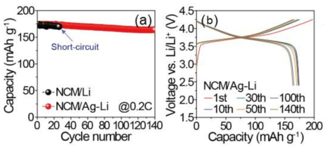 C-rate 0.2 C의 조건에서 NCM/Ag-TLi , NCM/Li 셀 성능 비교를 위한 테스트