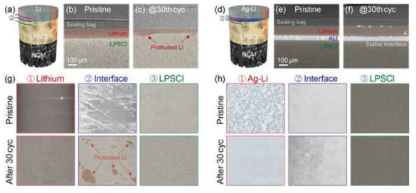 (a),(d) NCM/Li와 NCM/Ag-TLi 풀셀의 XRM 이미지 분석 결과. pristine 상태와 30주기 후 NCM/Li 및 NCM/Ag-TLi 셀의 XRM 단면 이미지. (bc, ef), (a,d)에 표시된 지정된 지점의 평면도 이미지(g,h)