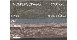 NCM/Ag-TLi 셀의 80번째 사이클 후의 SEM 단면 이미지