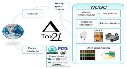 ToxCast 시스템