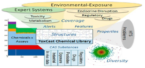 EPA의 High-throughput screening 기반 ToxCast 프로그램