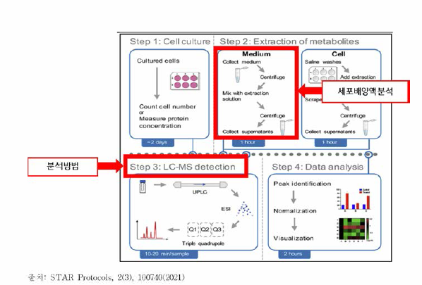 세포 배양 및 액체 크로마토그래피 질량분석에 의한 hESC 의 세포내 및 세포외 대사산물의 검출을 위한 절차