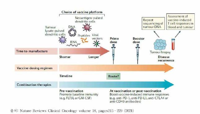 신생항원 기반 항암제 관련 고려사항
