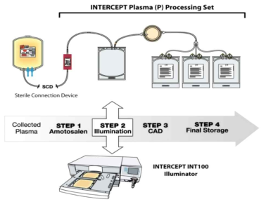 혈장용 IBS (INTERCEPT Blood system) 모식도