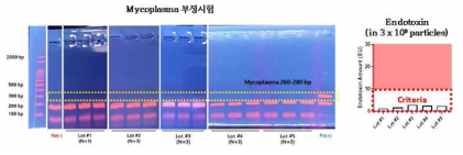 세포외소포 잔류물질 평가: Mycoplasma 부정시험