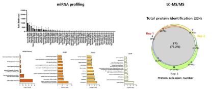 세포외소포 내부인자 평가: miRNA profiling, LC-MS/MS