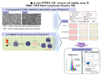 Flow cytometry를 이용한 면역세포의 증식률 확인 및 세포사멸 시험