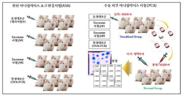 기니픽에서의 아나필락시스 쇼크 시험