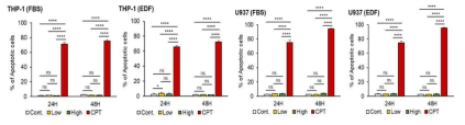 중간엽 줄기세포 유래 세포외소포(ASC-EV)의 in vitro 세포독성 영향 검증_Annexin V Assay for THP-1 & U937). n=3 *P＜0.05, **P＜0.01, ***P＜0.001, ****P＜0.0001